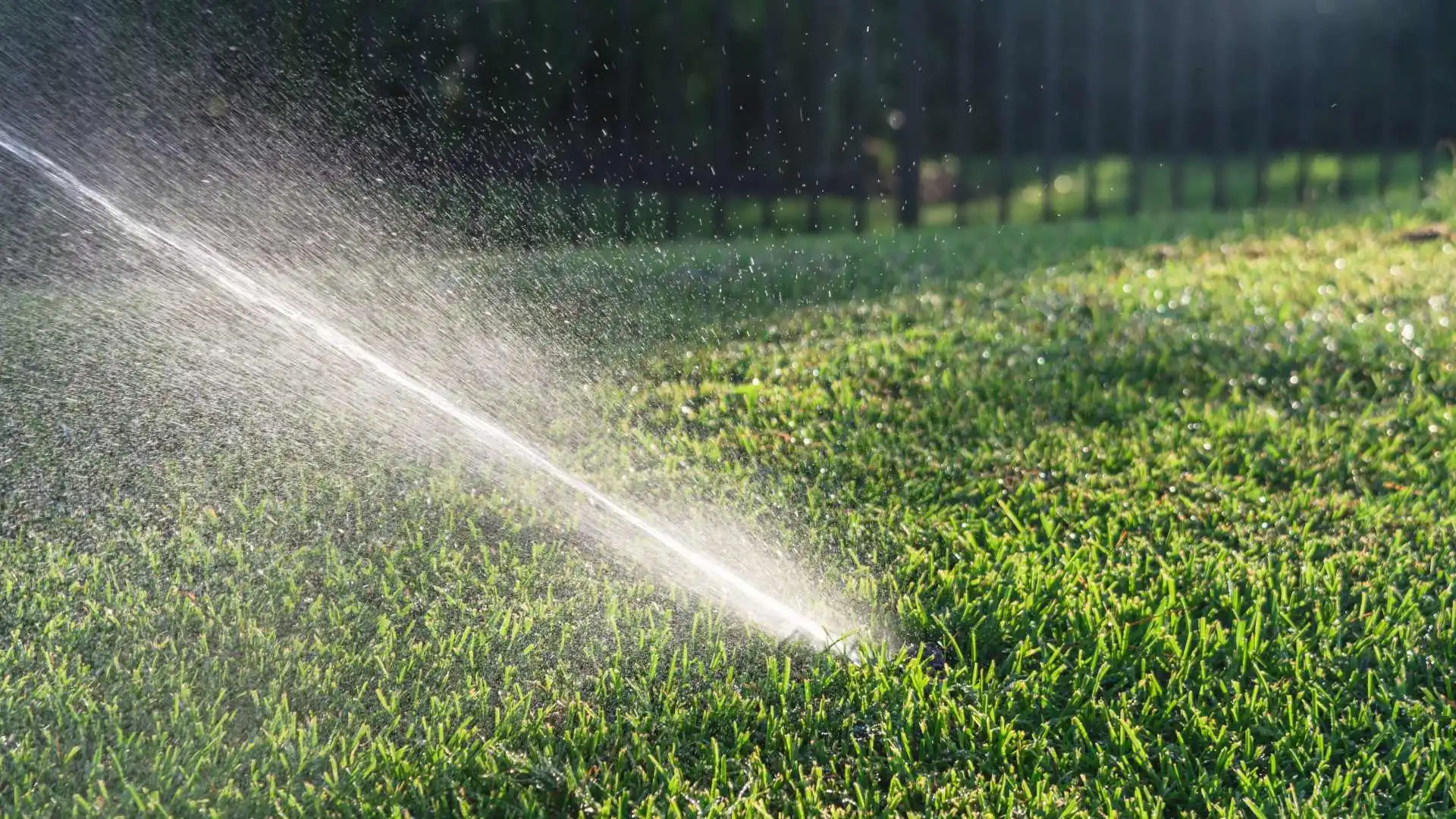4 Signs Your Irrigation System May Need to Be Repaired