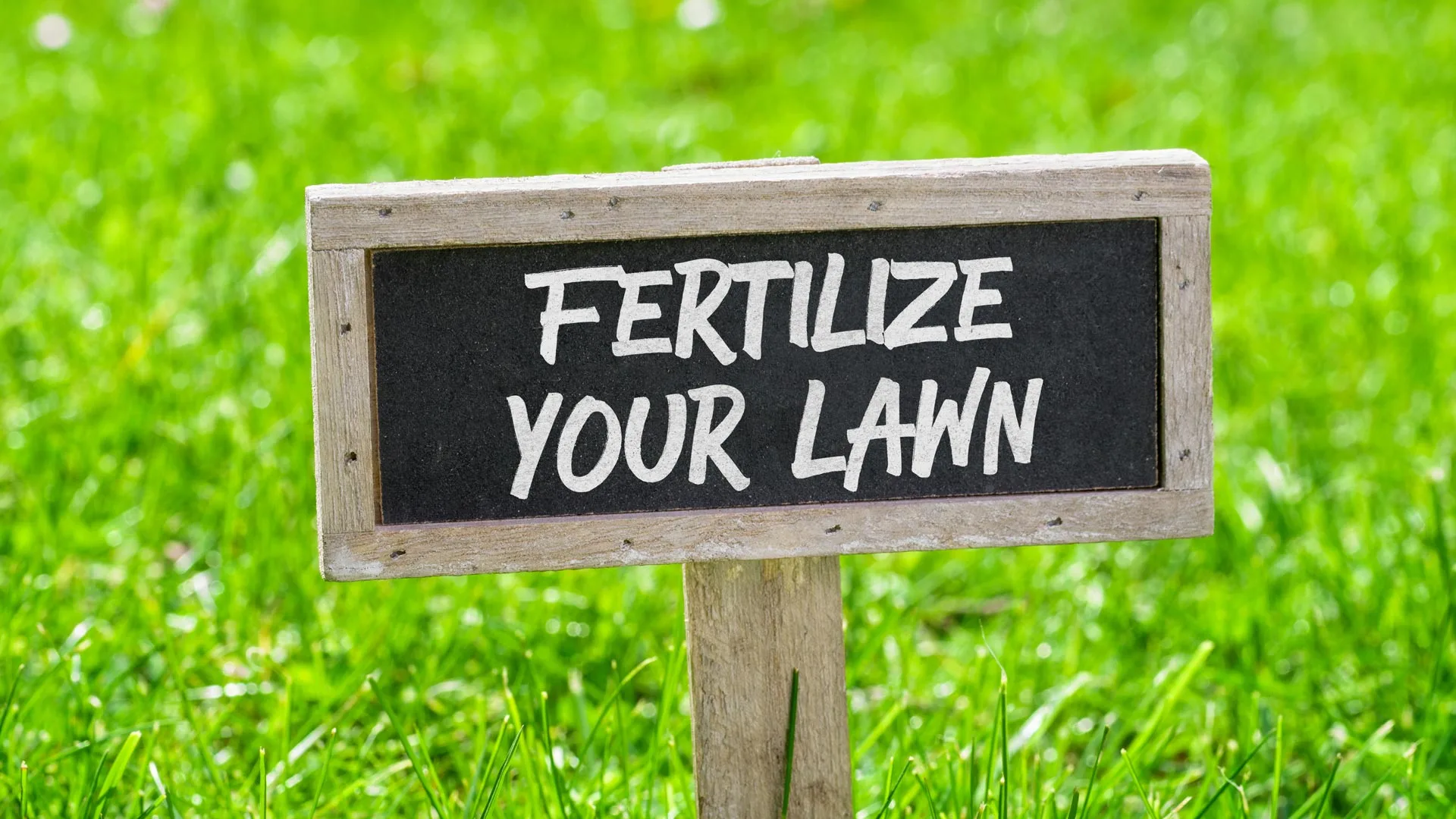 Your Guide To Spring Lawn Fertilization
