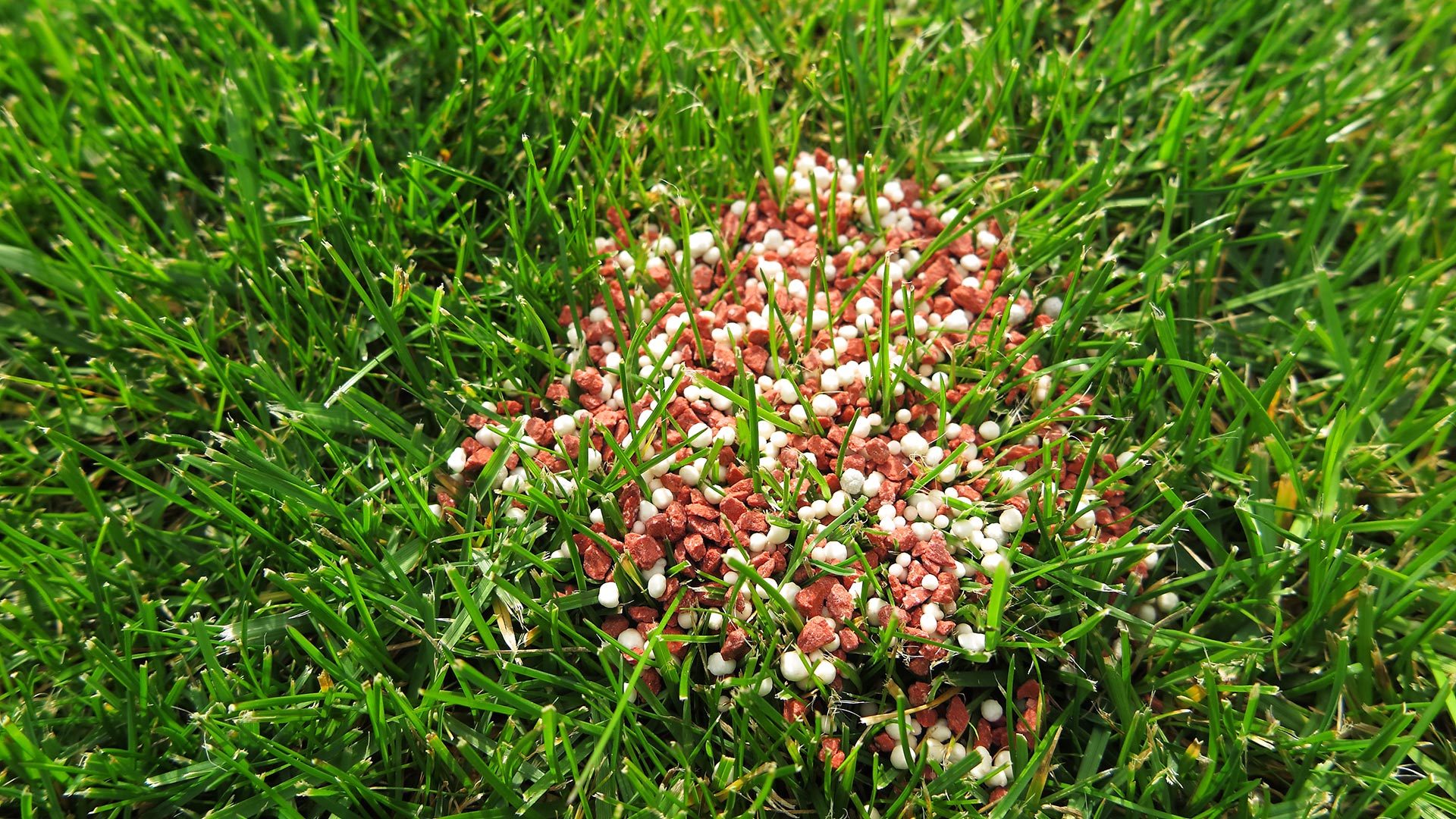 What Is Actually in the Fertilizer That You’re Applying to Your Lawn?
