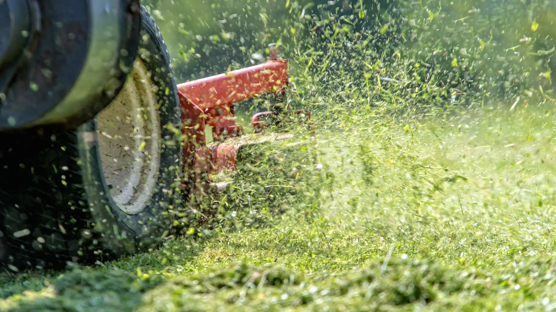 Should You Bag or Mulch Your Grass Clippings When Mowing Your Lawn?