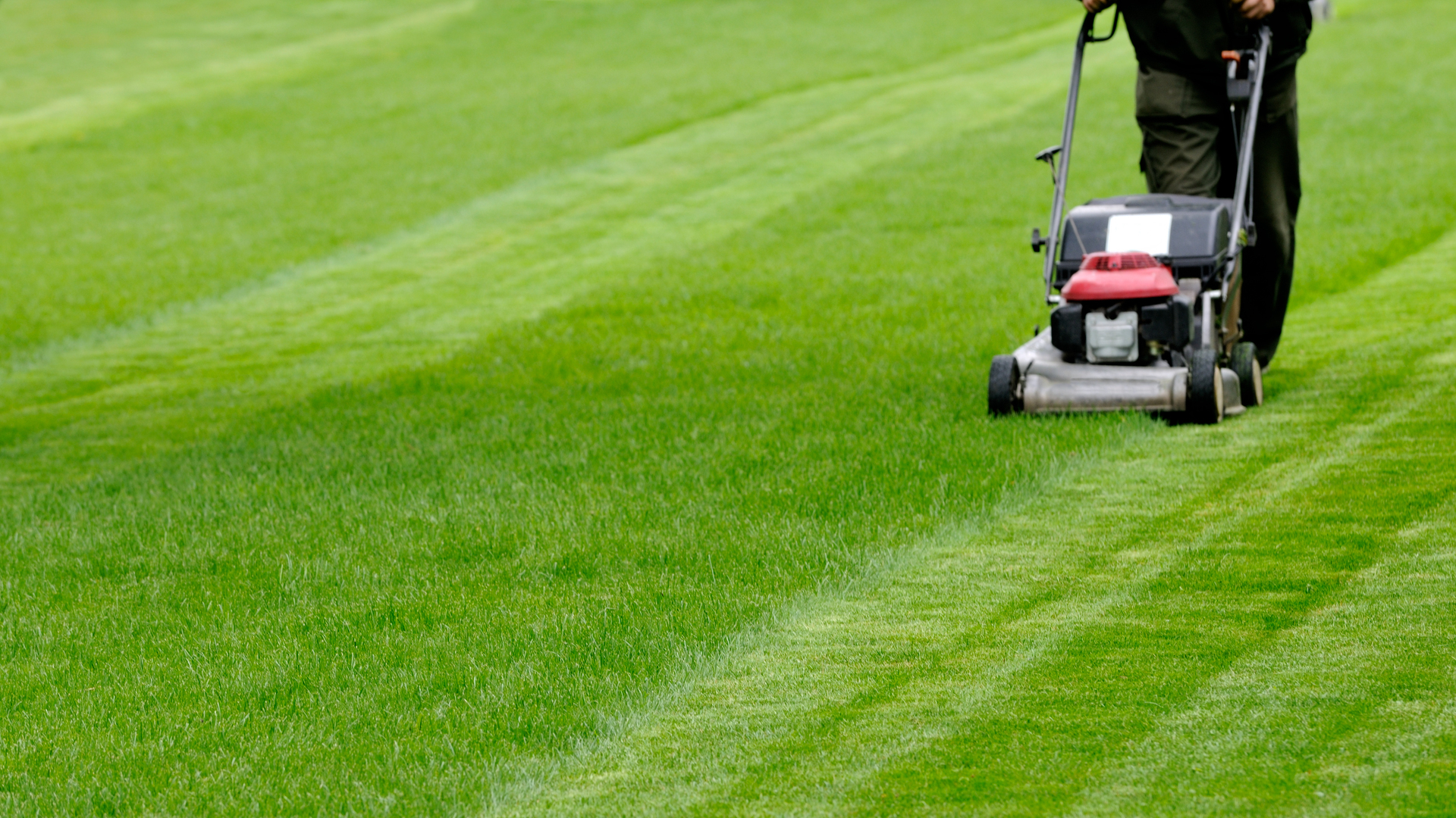 How to Avoid Leaving Tire Marks on Your Grass While Mowing