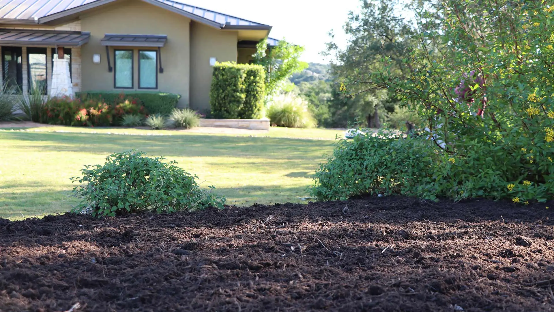 Landscape bed with fresh, dark mulch and a home in the distance near Austin, TX.