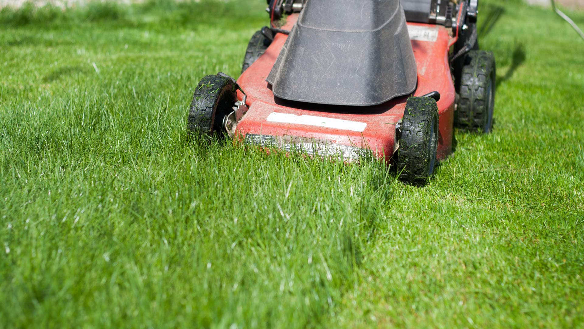 Don’t Make These Common Mistakes When Mowing Your Lawn!