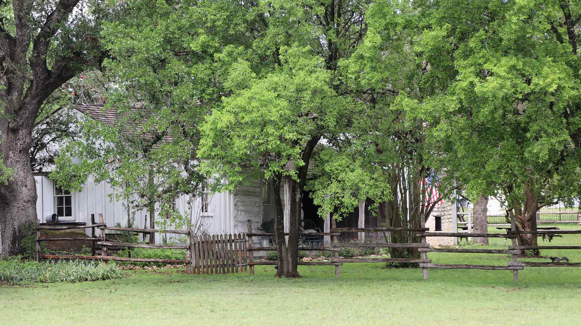 Old farmhouse and large trees outside Dripping Springs, TX.