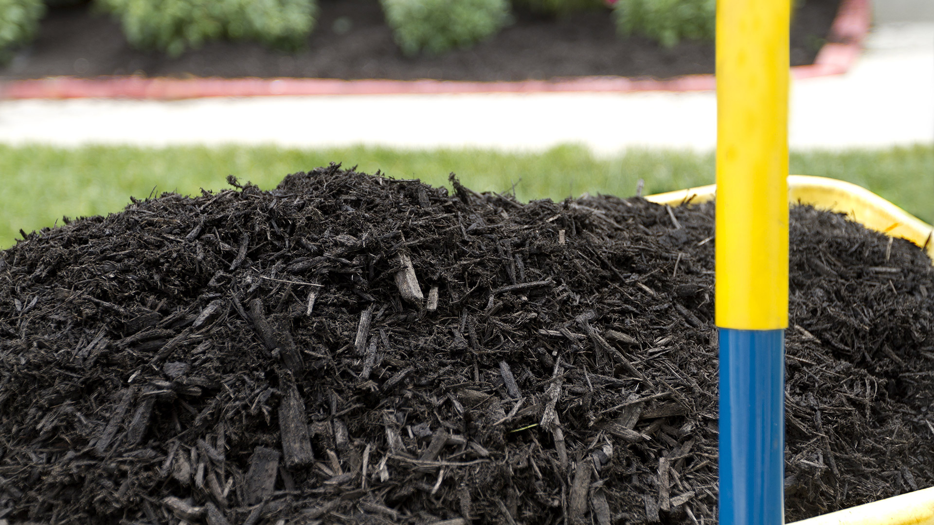 3 Reasons You Should Install or Replenish Your Mulch This Summer in Texas