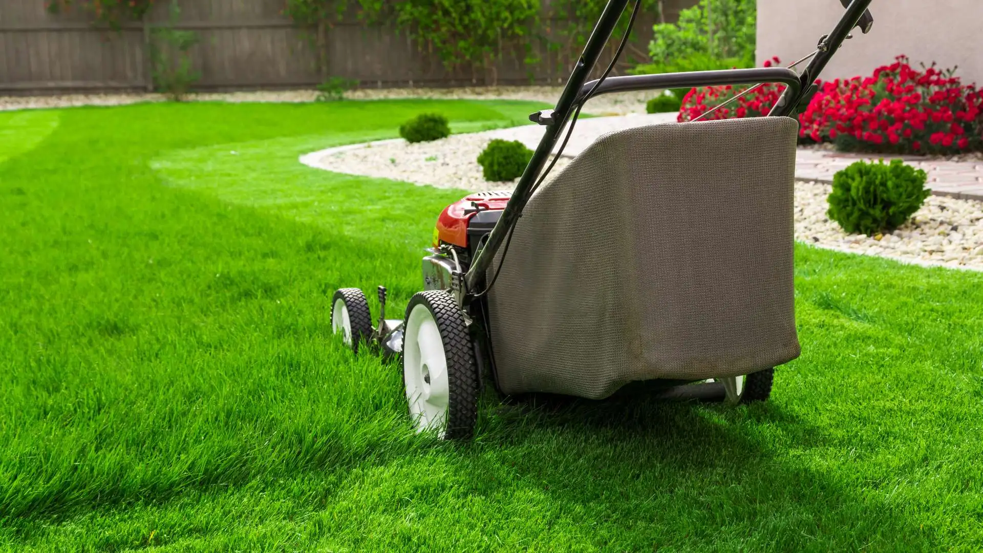Ready to Mow Your Sod for the First Time? Follow These 3 Tips!