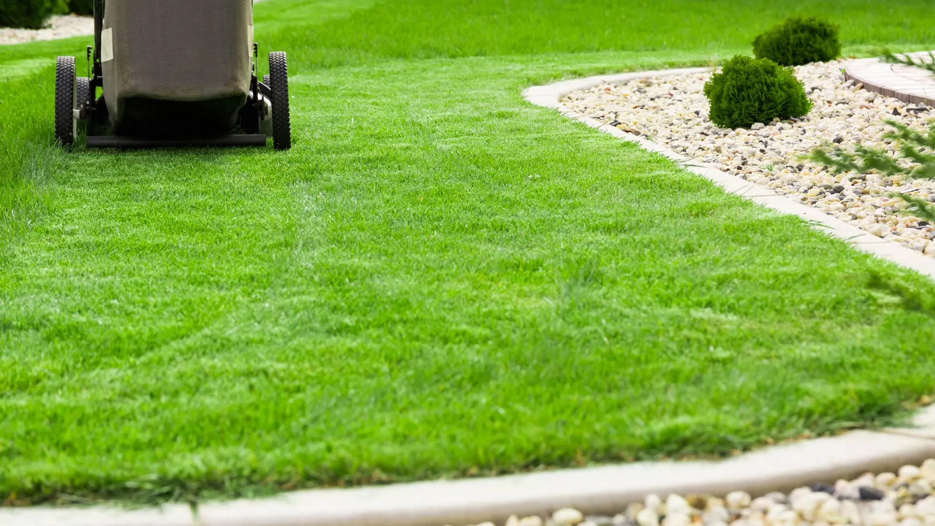 How Often Should You Be Mowing Your Lawn in Austin, TX?