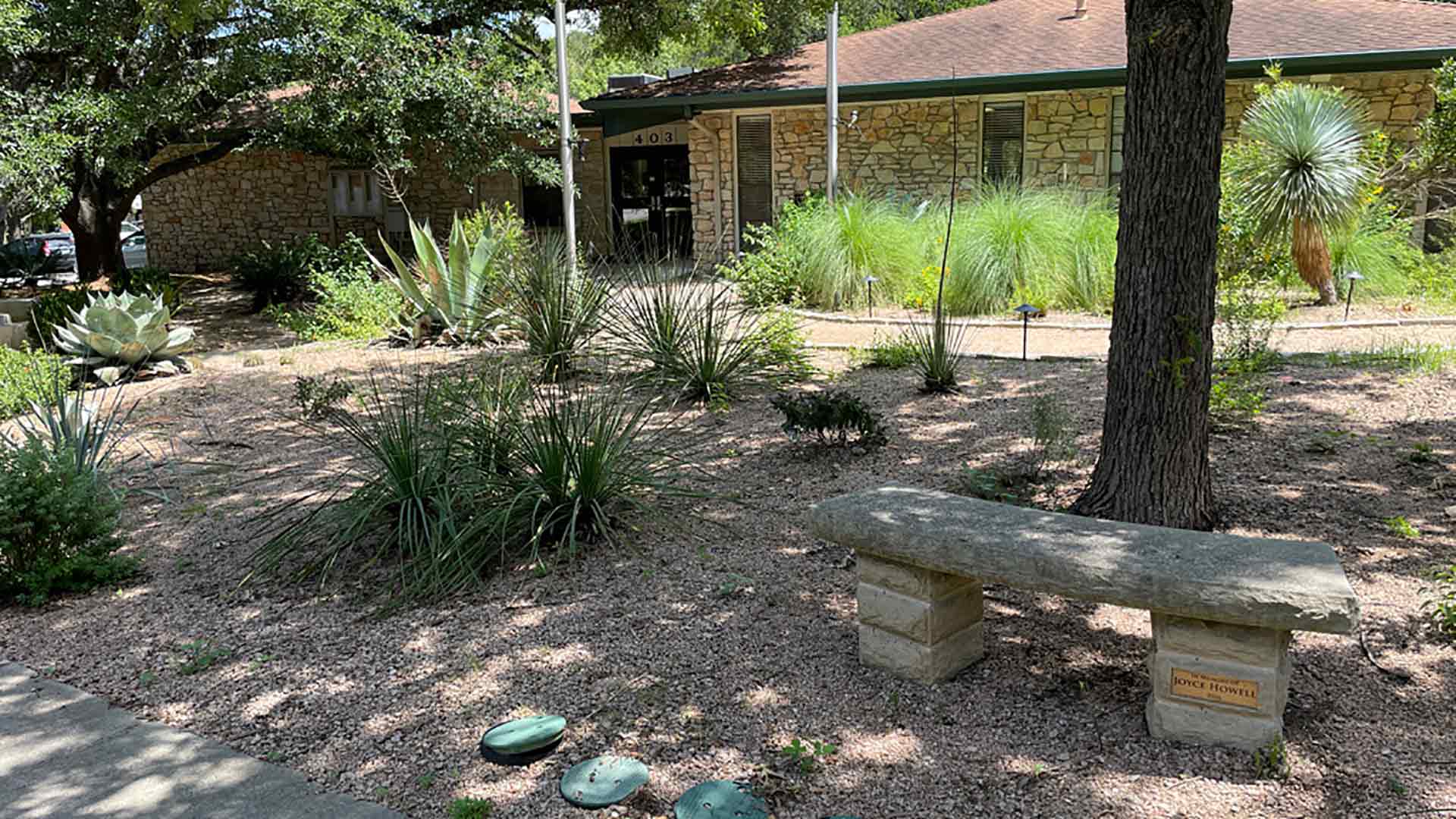 Property in Rollingwood, Texas with xeriscaping and bench.