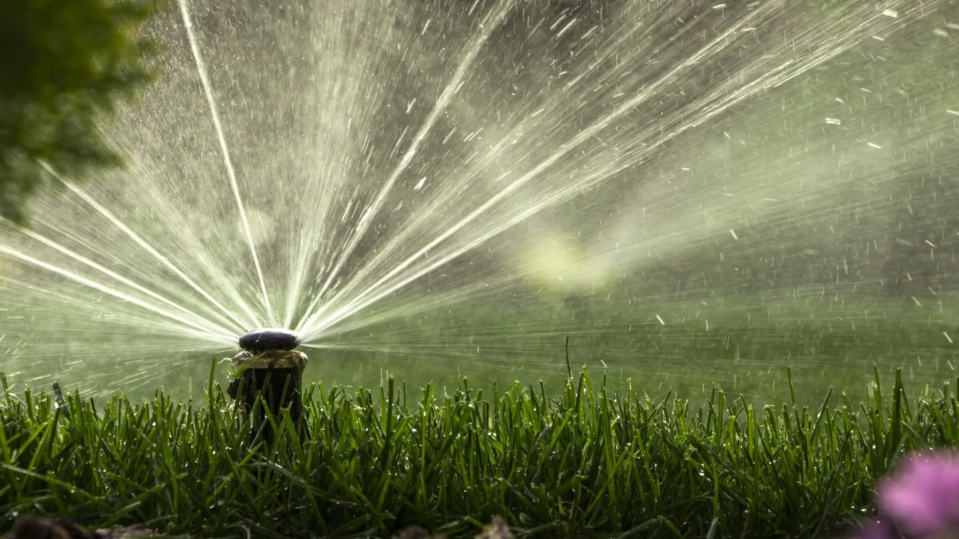 How Often Should You Be Checking Up on Your Irrigation System in Texas?