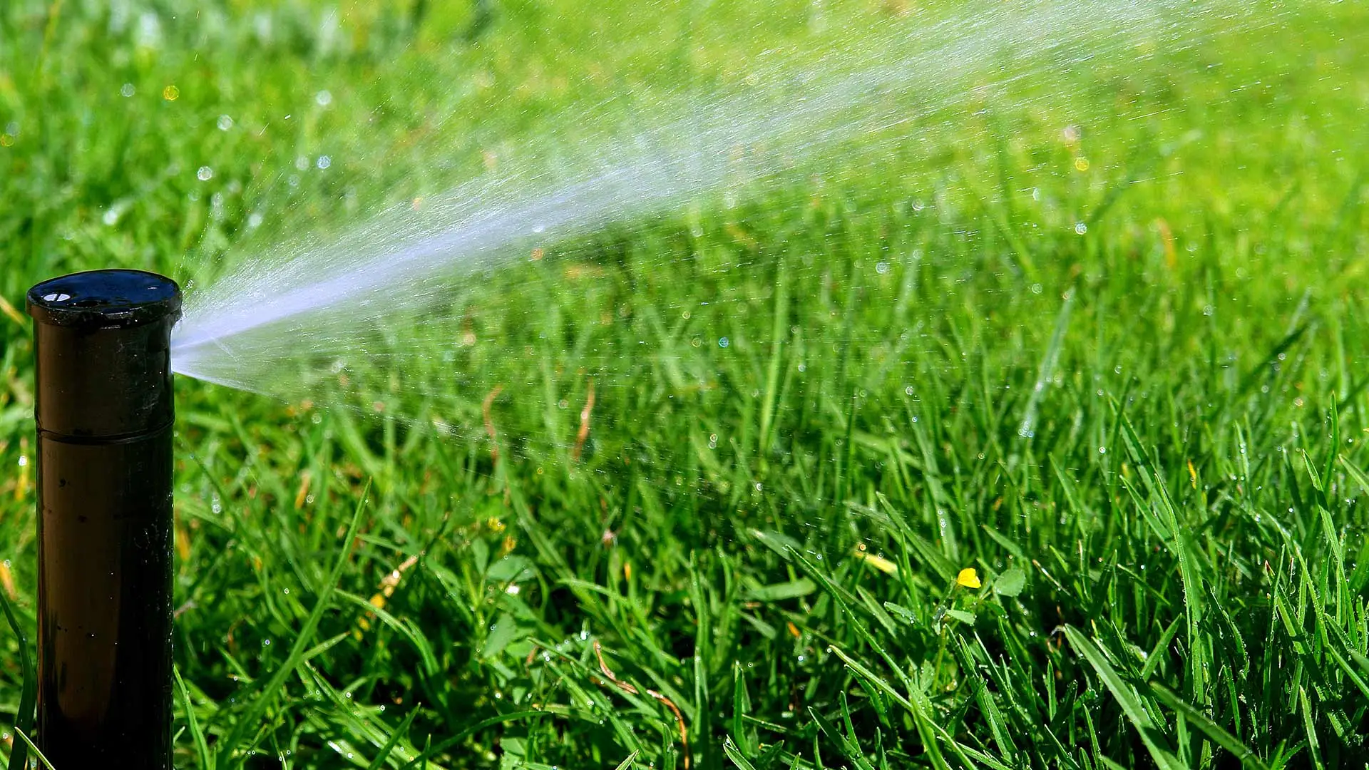 4 Things to Look for When Hiring a Company to Repair Your Irrigation System