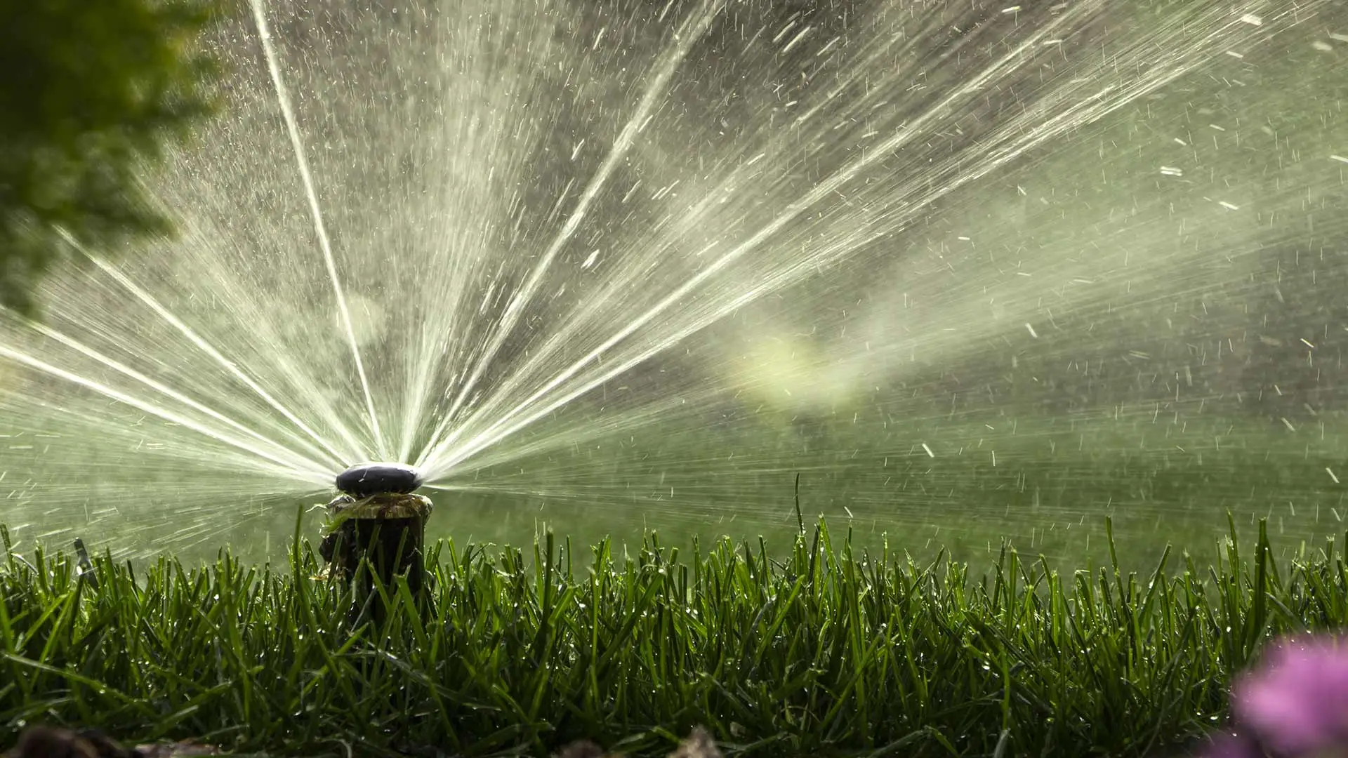 How Much Irrigation is Needed in the Summer?