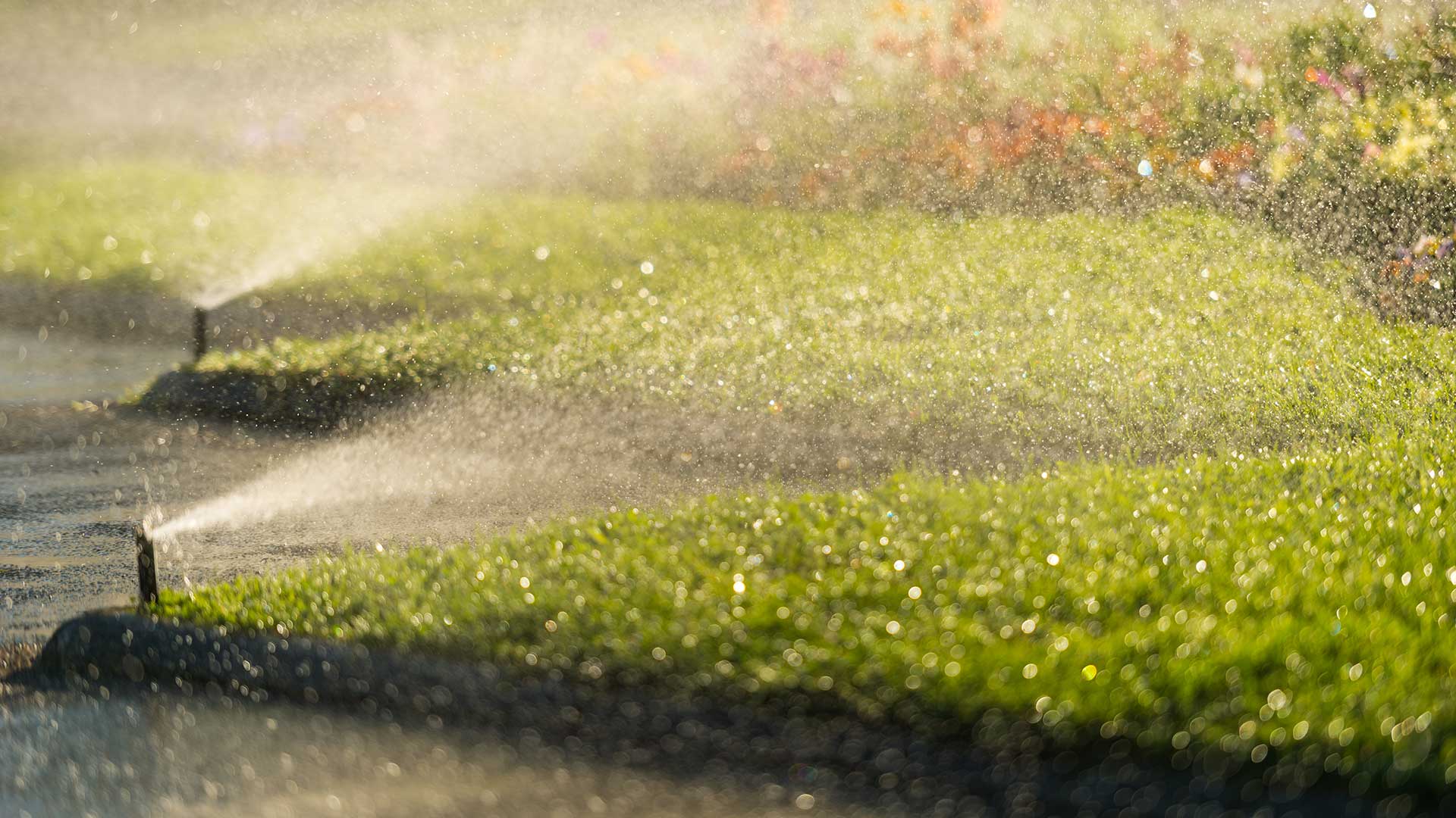 Sprinklers watering a lawn in Cedar Park, TX.