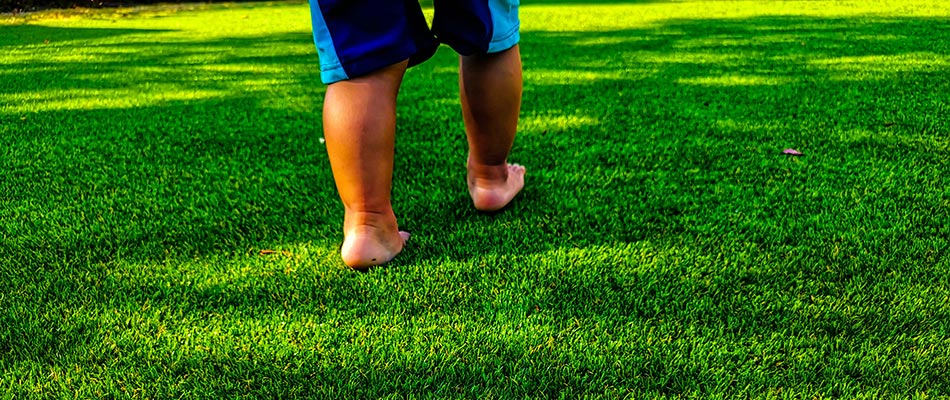 A child walking on new sod in Bee Cave, TX.