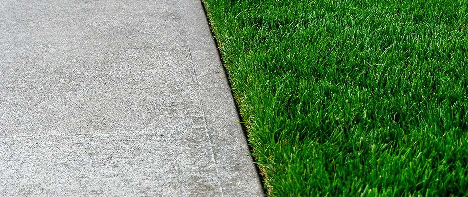 A neatly edged lawn alongside a walkway in front of a home in Kyle, TX. 
