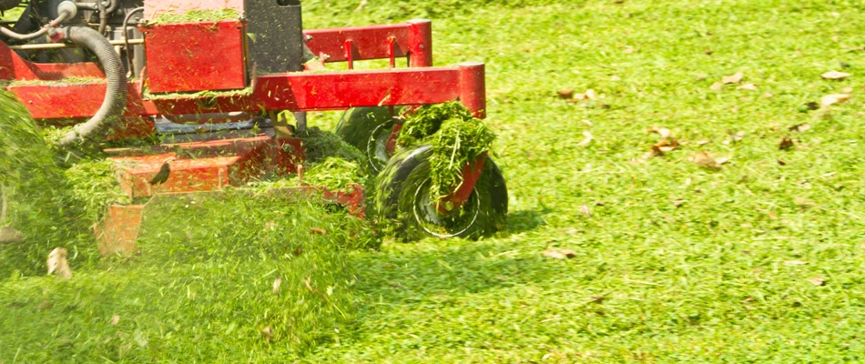 https://www.centurylawnandlandscape.com/files/account/images/content/content-grass-clippings-in-lawn.webp