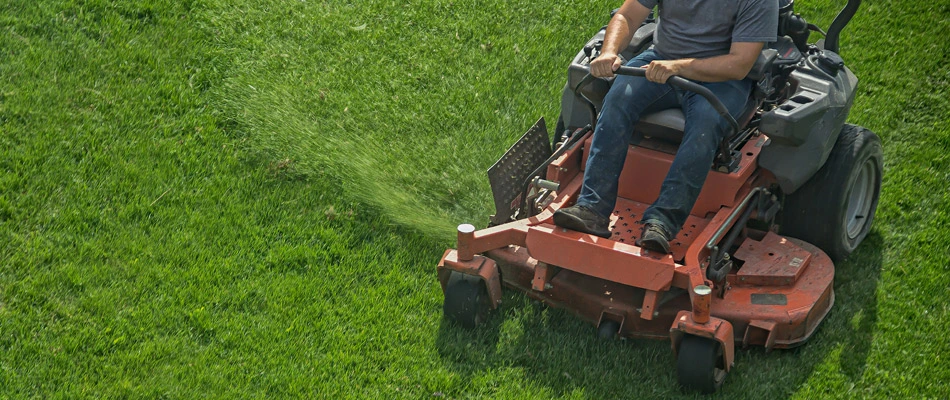 https://www.centurylawnandlandscape.com/files/account/images/content/content-lawn-being-mowed-and-grass-clippings-being-spread-over-lawn.webp