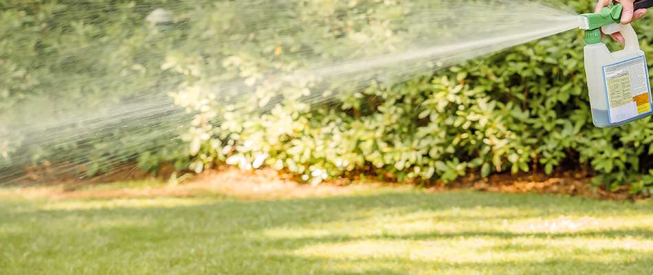 Lawn care expert spraying liquid aeration treatment on a lawn in Bee Cave, TX.