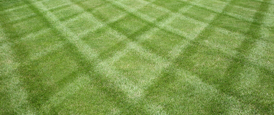 Patterns added to a lawn from mowing in Wells Branch, TX.