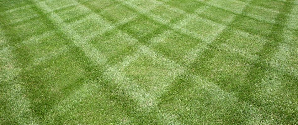 Patterns added to a lawn from mowing in Wells Branch, TX.