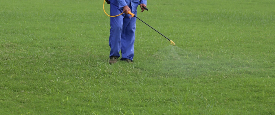 Professional applying grub control preventative grub control to lawn in Austin, TX.