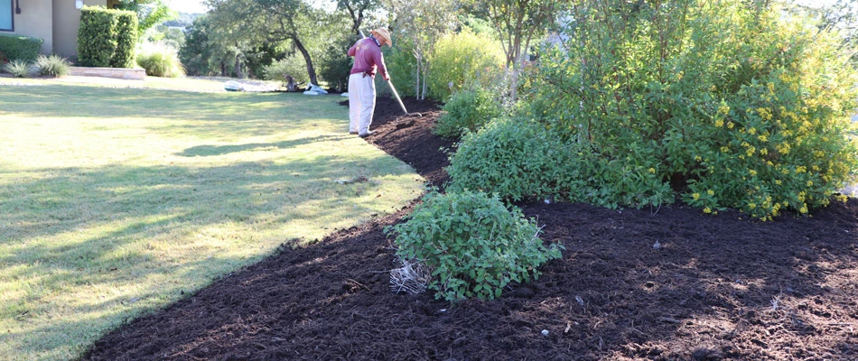 Professional from Century installing mulch to landscape in Jollyville, TX.