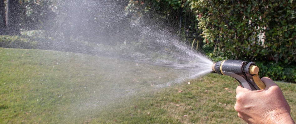 Professional spraying lawn disease treatment to lawn in Kyle, TX.