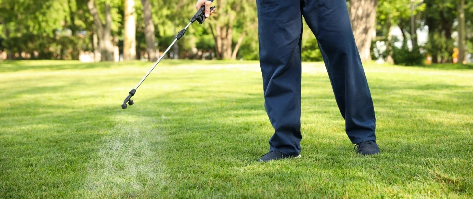 Professional applying insecticide to lawn in Austin, TX.