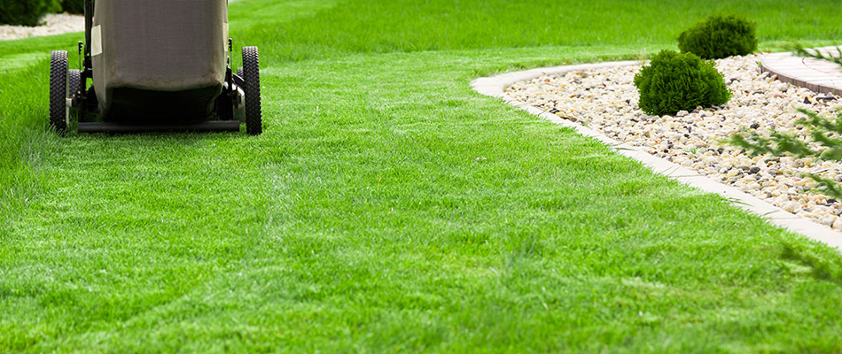 A push lawn mower on a vibrant lawn by some white rocks on a property in Round Rock, TX.