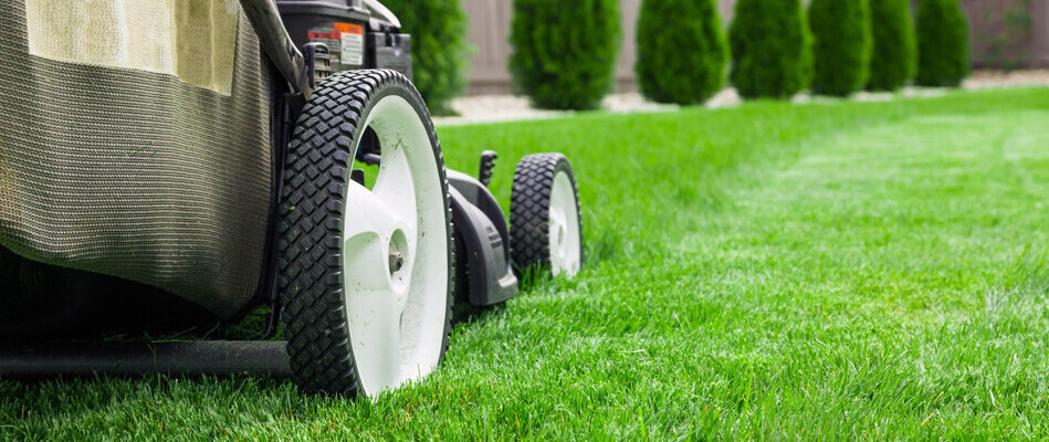 Close up on a push mower's tire in action on our client's property in Pflugerville, TX.