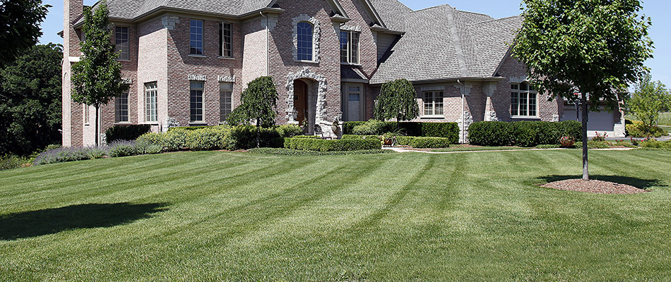 A regularly mowed lawn in front of a brick home in Rollingwood, TX.