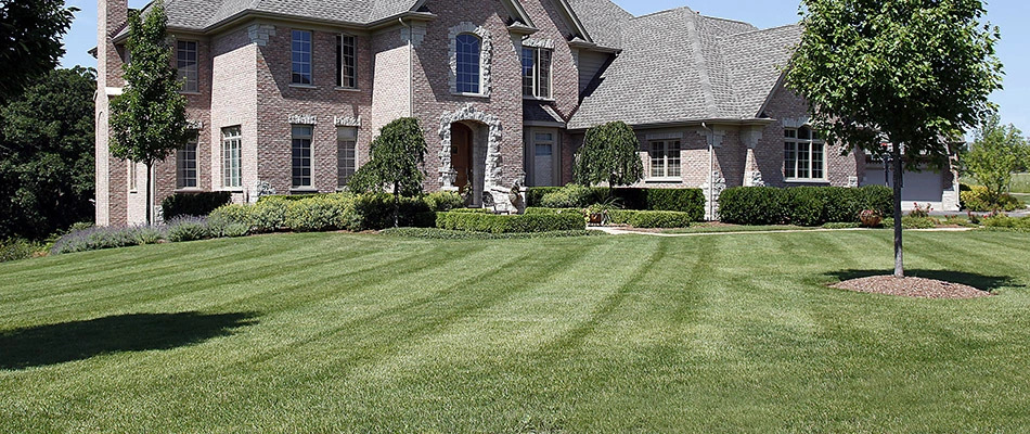 A regularly mowed lawn in front of a brick home in Rollingwood, TX.