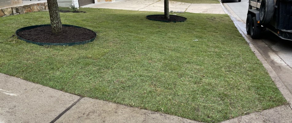Fresh new sod installed for home front in Austin, TX.
