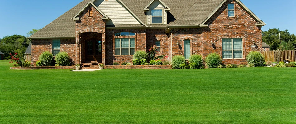 A vibrant green lawn due to top dressing in front of a home in Round Rock, TX.