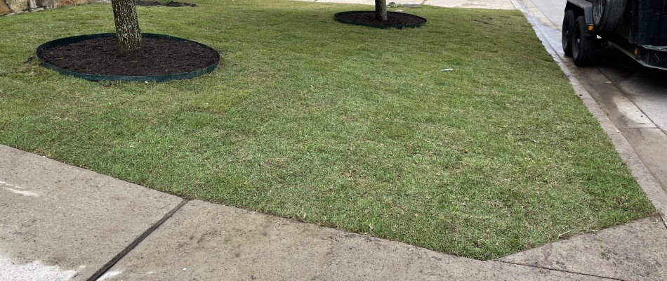 Water down sod in client's lawn in Bee Cave, TX.