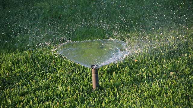 Sprinkler watering a lawn near Bee Cave, TX.